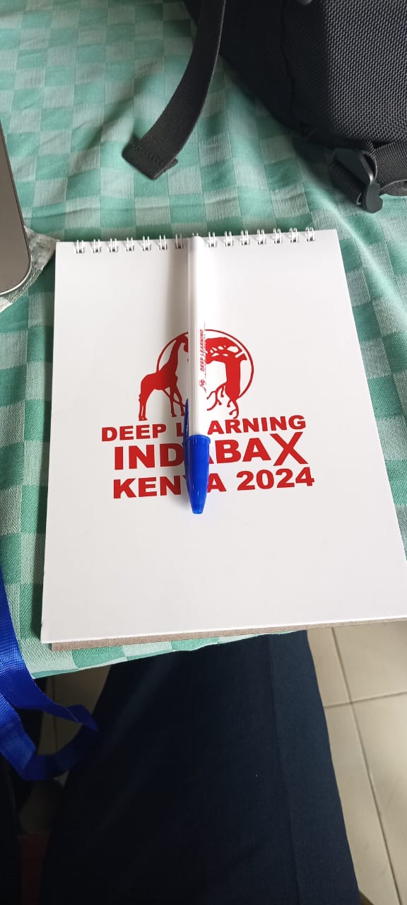 IndabaX Kenya 2024 — Conference Photos